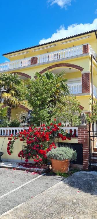 Bed & Breakfast Barbara Novi Vinodolski Dış mekan fotoğraf